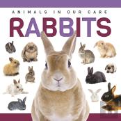 Rabbits