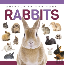 Bertrand.pt - Rabbits