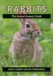 Rabbits