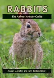 Rabbits