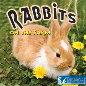 Rabbits On The Farm