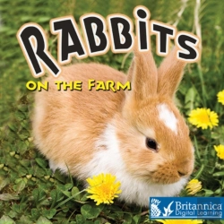 Bertrand.pt - Rabbits On The Farm
