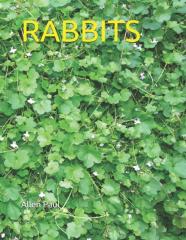 Rabbits