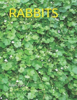 Bertrand.pt - Rabbits