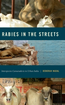 Bertrand.pt - Rabies In The Streets