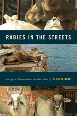 Bertrand.pt - Rabies In The Streets