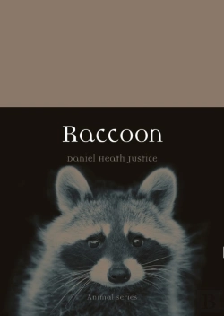 Bertrand.pt - Raccoon