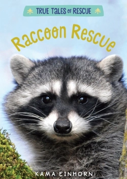 Bertrand.pt - Raccoon Rescue