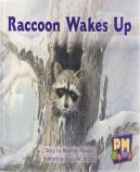Raccoon Wakes Up
