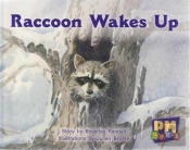 Raccoon Wakes Up
