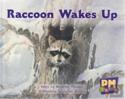 Bertrand.pt - Raccoon Wakes Up