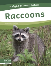 Raccoons