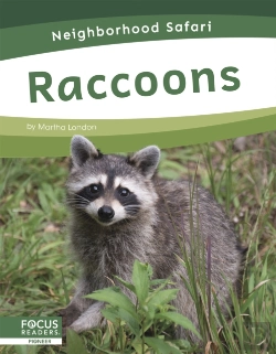 Bertrand.pt - Raccoons