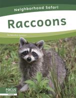 Raccoons