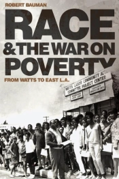 Race And The War On Poverty