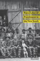 Race, Labor And Punishment In The New South