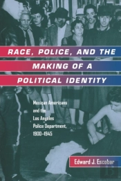 Race, Police, And The Making Of A Political Identity