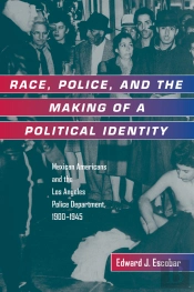 Race, Police, And The Making Of A Political Identity