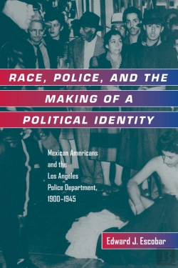 Bertrand.pt - Race, Police, And The Making Of A Political Identity