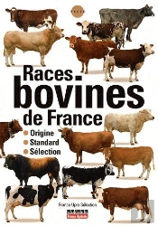 Races De Bovins De France