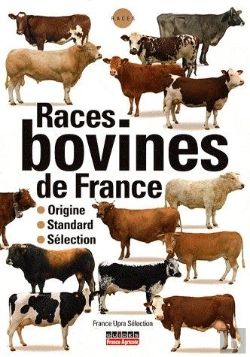 Bertrand.pt - Races De Bovins De France