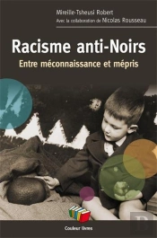 Racisme Anti-Noirs : Entre Méconnaissance Et Mépris