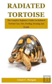 Radiated Tortoise