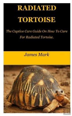 Bertrand.pt - Radiated Tortoise