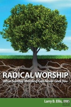 Bertrand.pt - Radical Worship