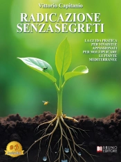 Radicazione Senza Segreti