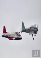 Raf Training Command