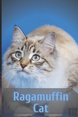 Bertrand.pt - Ragamuffin Cat