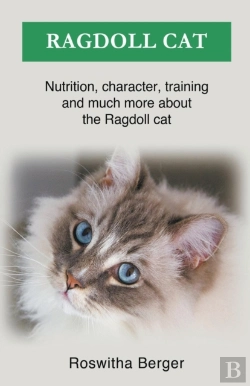 Bertrand.pt - Ragdoll Cat