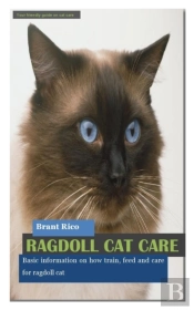 Ragdoll Cat Care