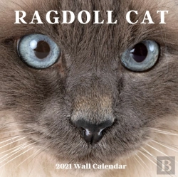 Bertrand.pt - Ragdoll Cat Wall Calendar 2021