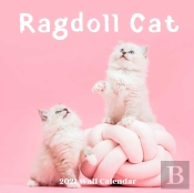 Ragdoll Cat Wall Calendar 2021