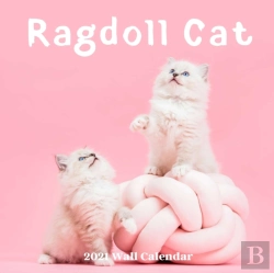Bertrand.pt - Ragdoll Cat Wall Calendar 2021