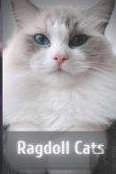 Ragdoll Cats