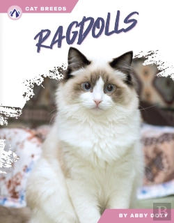Bertrand.pt - Ragdolls