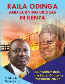 Bertrand.pt - Raila Odinga And Burning Bridges In Kenya