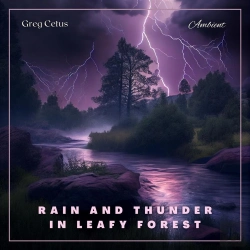 Bertrand.pt - Rain And Thunder In Leafy Forest