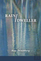 Rain / Dweller