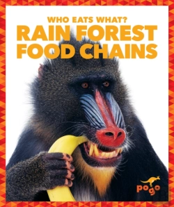 Bertrand.pt - Rain Forest Food Chains