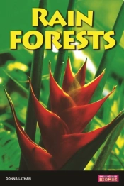 Rain Forests