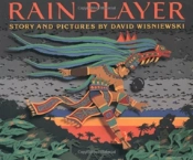 Rain Player