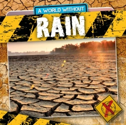 Bertrand.pt - Rain
