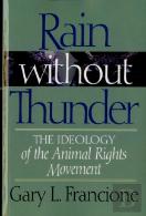 Rain Without Thunder