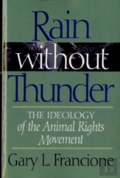 Rain Without Thunder