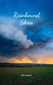 Rainbound Skies