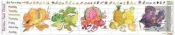 Rainbow Food Activity Chart